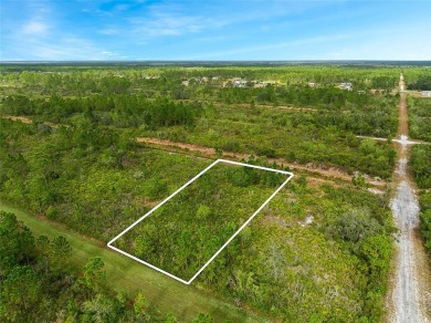 Build your dream home in Indian Lake Estates. Located on a 1/2 on Indian Lake Estates Golf and Country Club in Florida - for sale on GolfHomes.com, golf home, golf lot