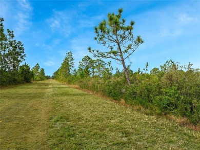 Build your dream home in Indian Lake Estates. Located on a 1/2 on Indian Lake Estates Golf and Country Club in Florida - for sale on GolfHomes.com, golf home, golf lot