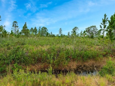 Build your dream home in Indian Lake Estates. Located on a 1/2 on Indian Lake Estates Golf and Country Club in Florida - for sale on GolfHomes.com, golf home, golf lot