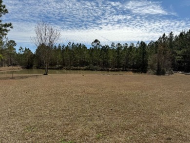 This stunning property, situated on 22 acres in the Lowcountry on Penny Branch Club in South Carolina - for sale on GolfHomes.com, golf home, golf lot