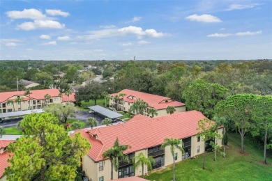 This delightful 2nd Floor Condo located in desirable El Pasado on Tarpon Woods Golf Club in Florida - for sale on GolfHomes.com, golf home, golf lot