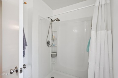 Priced to sell! This fully renovated gemini twin is ready for on Sun City Lakes West and East in Arizona - for sale on GolfHomes.com, golf home, golf lot