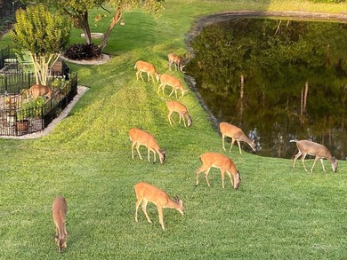 One or more photo(s) has been virtually staged. Pool Home with on The Eagles Golf Course and Club in Florida - for sale on GolfHomes.com, golf home, golf lot
