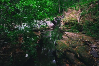 Welcome to THE FALLS.  A period correct mid-century modern on Druid Hills Golf Club in Georgia - for sale on GolfHomes.com, golf home, golf lot