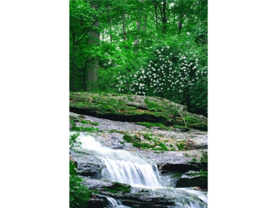 Welcome to THE FALLS.  A period correct mid-century modern on Druid Hills Golf Club in Georgia - for sale on GolfHomes.com, golf home, golf lot