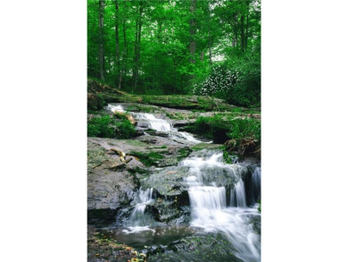 Welcome to THE FALLS.  A period correct mid-century modern on Druid Hills Golf Club in Georgia - for sale on GolfHomes.com, golf home, golf lot