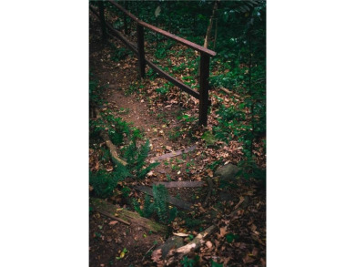 Welcome to THE FALLS.  A period correct mid-century modern on Druid Hills Golf Club in Georgia - for sale on GolfHomes.com, golf home, golf lot