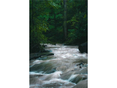 Welcome to THE FALLS.  A period correct mid-century modern on Druid Hills Golf Club in Georgia - for sale on GolfHomes.com, golf home, golf lot