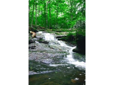 Welcome to THE FALLS.  A period correct mid-century modern on Druid Hills Golf Club in Georgia - for sale on GolfHomes.com, golf home, golf lot