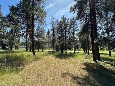 Beautiful homesite in a serene setting overlooking the 2nd hole on Running Y Ranch Resort in Oregon - for sale on GolfHomes.com, golf home, golf lot
