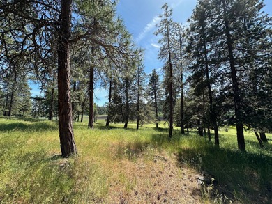 Beautiful homesite in a serene setting overlooking the 2nd hole on Running Y Ranch Resort in Oregon - for sale on GolfHomes.com, golf home, golf lot