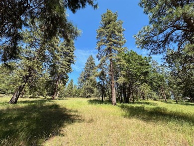 Beautiful homesite in a serene setting overlooking the 2nd hole on Running Y Ranch Resort in Oregon - for sale on GolfHomes.com, golf home, golf lot