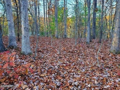 RARE DOUBLE LAKEFRONT LOT!! 
Includes Parcel ID: 090E A 026.00 on Druid Hills Golf Club in Tennessee - for sale on GolfHomes.com, golf home, golf lot