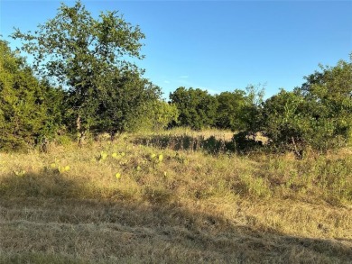 Do you enjoy playing golf?  Do you enjoy watching golfers?  This on White Bluff Resort - Old Course in Texas - for sale on GolfHomes.com, golf home, golf lot
