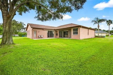 Welcome home to the Eagles located in Odessa, FL! A tranquil on The Eagles Golf Course and Club in Florida - for sale on GolfHomes.com, golf home, golf lot
