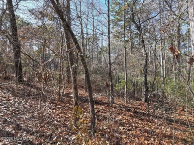 Begin your next chapter in the sought-after Pinehurst community on Pinehurst Resort and Country Club in North Carolina - for sale on GolfHomes.com, golf home, golf lot