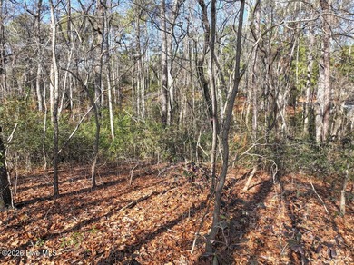 Begin your next chapter in the sought-after Pinehurst community on Pinehurst Resort and Country Club in North Carolina - for sale on GolfHomes.com, golf home, golf lot