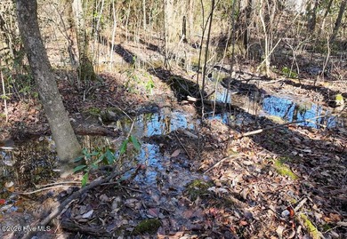 Begin your next chapter in the sought-after Pinehurst community on Pinehurst Resort and Country Club in North Carolina - for sale on GolfHomes.com, golf home, golf lot