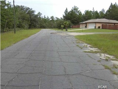 Vacant Residential Land. 25 miles from new Northwest Florida on Sunny Hills Golf and Country Club in Florida - for sale on GolfHomes.com, golf home, golf lot