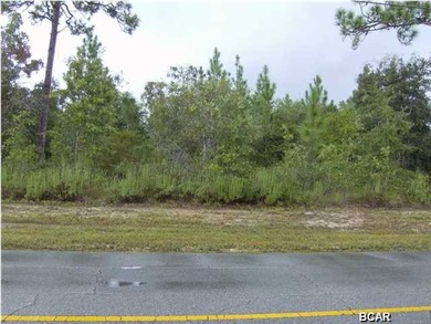 Vacant residential lot. 25 miles from new Northwest Florida on Sunny Hills Golf and Country Club in Florida - for sale on GolfHomes.com, golf home, golf lot