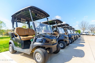 Don't miss this unique opportunity to own one of the last on Tennessee National Golf Club in Tennessee - for sale on GolfHomes.com, golf home, golf lot