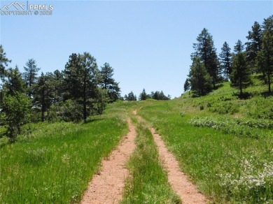 1-Acre Lot in the scenic Indian Head area of Perry Park * on Perry Park Country Club in Colorado - for sale on GolfHomes.com, golf home, golf lot