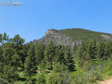 1-Acre Lot in the scenic Indian Head area of Perry Park * on Perry Park Country Club in Colorado - for sale on GolfHomes.com, golf home, golf lot