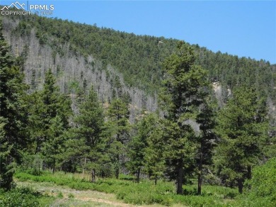 1-Acre Lot in the scenic Indian Head area of Perry Park * on Perry Park Country Club in Colorado - for sale on GolfHomes.com, golf home, golf lot
