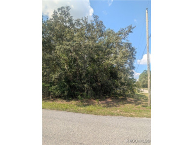 Prime corner lot in Citrus Springs! This 0.27-acre homesite on Citrus Springs Country Club in Florida - for sale on GolfHomes.com, golf home, golf lot