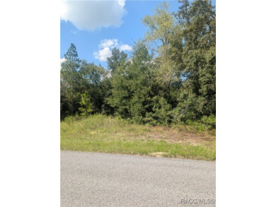 Prime corner lot in Citrus Springs! This 0.27-acre homesite on Citrus Springs Country Club in Florida - for sale on GolfHomes.com, golf home, golf lot