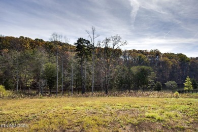 Enjoy lakeside living with this gently sloping waterfront lot on on Wind River Golf Course in Tennessee - for sale on GolfHomes.com, golf home, golf lot