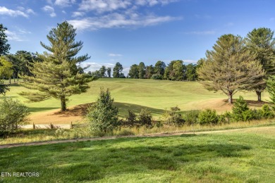 Welcome to this beautifully crafted home built in 2017, offering on Toqua Golf Course - Loudon County in Tennessee - for sale on GolfHomes.com, golf home, golf lot