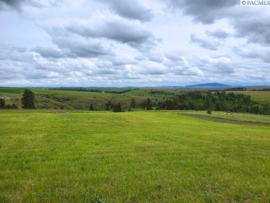 IMAGINE YOUR OWN 6 ACRES!  INCREDIBLE PICTURESQUE VIEWS OF THE on Colfax Golf Club in Washington - for sale on GolfHomes.com, golf home, golf lot