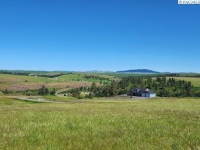 IMAGINE YOUR OWN 6 ACRES!  INCREDIBLE PICTURESQUE VIEWS OF THE on Colfax Golf Club in Washington - for sale on GolfHomes.com, golf home, golf lot