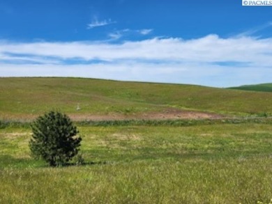 IMAGINE YOUR OWN 6 ACRES!  INCREDIBLE PICTURESQUE VIEWS OF THE on Colfax Golf Club in Washington - for sale on GolfHomes.com, golf home, golf lot