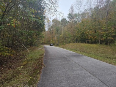 Looking to build your dream home in a fabulous gated on The Trail At Chickasaw Pointe in South Carolina - for sale on GolfHomes.com, golf home, golf lot