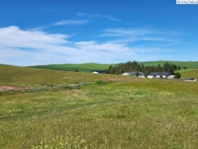 IMAGINE YOUR OWN 6 ACRES!  INCREDIBLE PICTURESQUE VIEWS OF THE on Colfax Golf Club in Washington - for sale on GolfHomes.com, golf home, golf lot