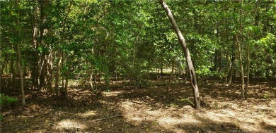 Come build your home on this nice level wooded lot located in on Carolina Trace Country Club in North Carolina - for sale on GolfHomes.com, golf home, golf lot
