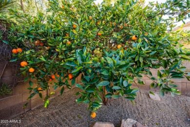 VA ASSUME LOAN 3.625%! Don't need to be Vet to assume! Tropical on Estrella Mountain Ranch Golf Course in Arizona - for sale on GolfHomes.com, golf home, golf lot