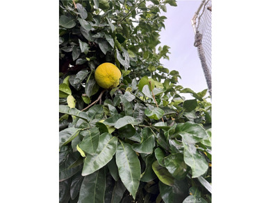 Welcome to 10500 Frontier Trail, a beautifully spacious home on Morongo Golf Club at Tukwet Canyon in California - for sale on GolfHomes.com, golf home, golf lot