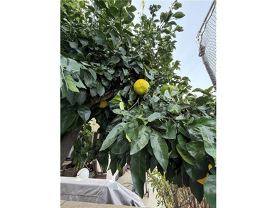 Welcome to 10500 Frontier Trail, a beautifully spacious home on Morongo Golf Club at Tukwet Canyon in California - for sale on GolfHomes.com, golf home, golf lot