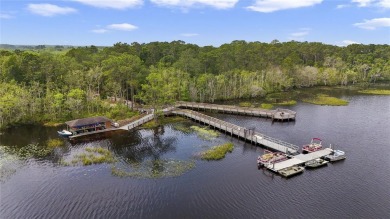 Charming Townhome in the Heart of Harmony - A Prime Location! on Harmony Golf Preserve in Florida - for sale on GolfHomes.com, golf home, golf lot