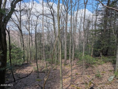 Breathtaking views are yours to enjoy at Blue Knob! 
This on Blue Knob Rec Area Golf Course in Pennsylvania - for sale on GolfHomes.com, golf home, golf lot