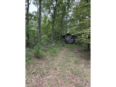 Come get lost from the busy hustle and bustle of city life for a on McLemore Golf Club in Georgia - for sale on GolfHomes.com, golf home, golf lot