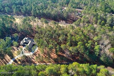 Level golf front home site is gently wooded with lovely tree on Forest Creek Golf Club  in North Carolina - for sale on GolfHomes.com, golf home, golf lot