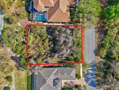 Build Your Dream Golf Course Oasis in Grand Haven!

Dreaming on Grand Haven Golf Club in Florida - for sale on GolfHomes.com, golf home, golf lot