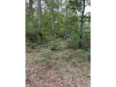 Come get lost from the busy hustle and bustle of city life for a on McLemore Golf Club in Georgia - for sale on GolfHomes.com, golf home, golf lot