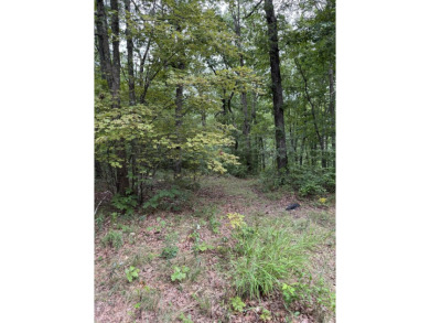 Come get lost from the busy hustle and bustle of city life for a on McLemore Golf Club in Georgia - for sale on GolfHomes.com, golf home, golf lot