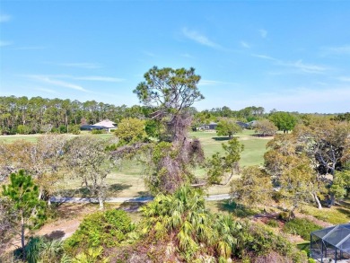 Build Your Dream Golf Course Oasis in Grand Haven!

Dreaming on Grand Haven Golf Club in Florida - for sale on GolfHomes.com, golf home, golf lot