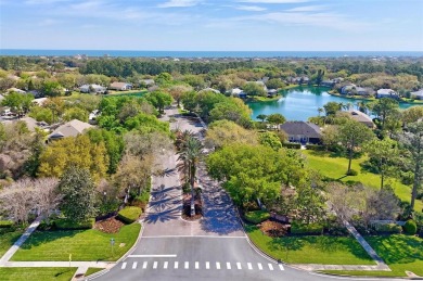 Build Your Dream Golf Course Oasis in Grand Haven!

Dreaming on Grand Haven Golf Club in Florida - for sale on GolfHomes.com, golf home, golf lot